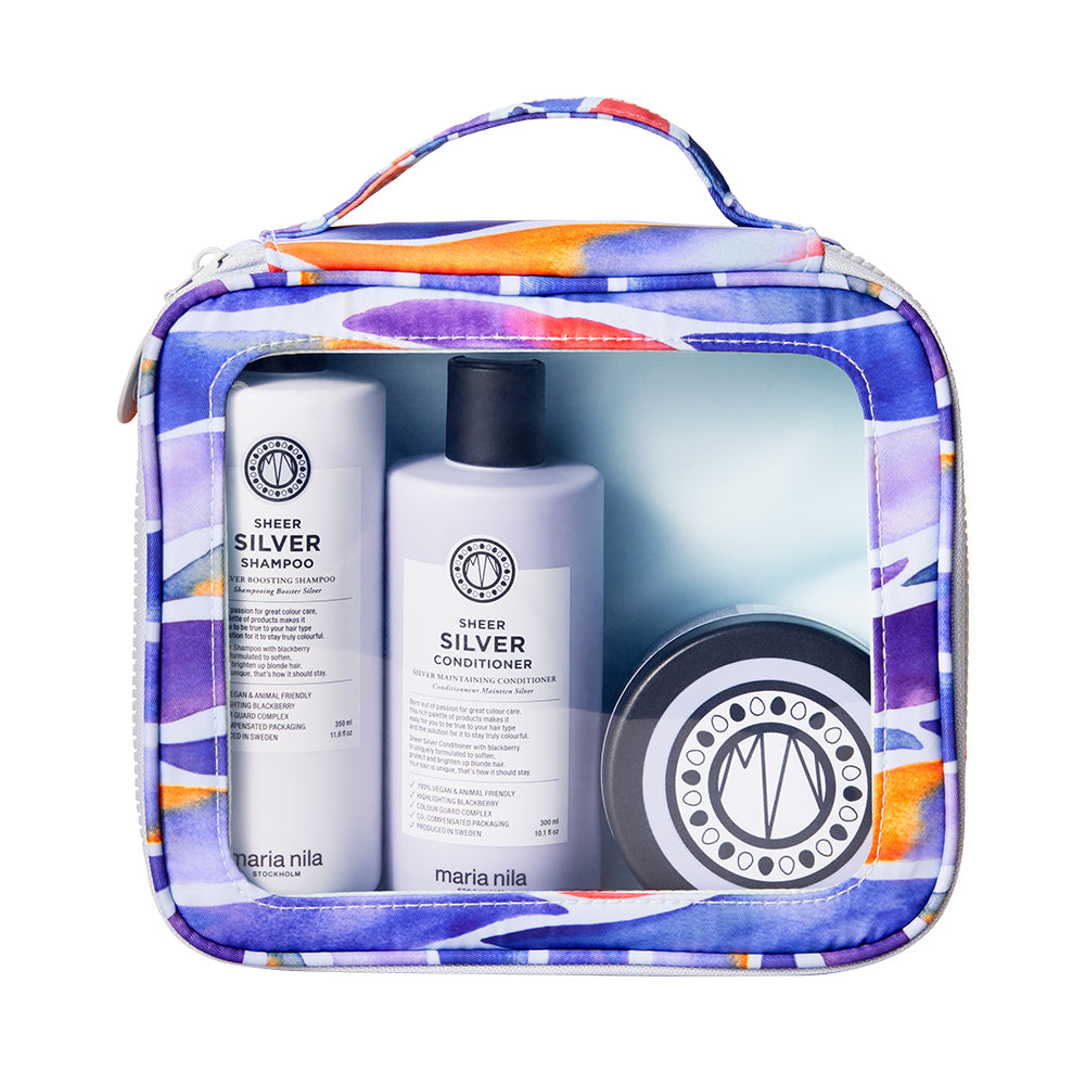 Beauty Bag Sheer Silver