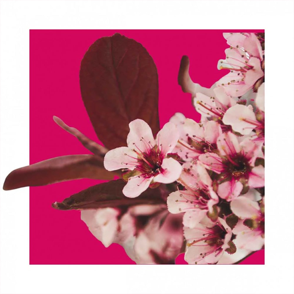 Eau de Parfum Harmony Cherry Blossom